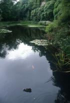 Nice lake in the park near Portmeirion.